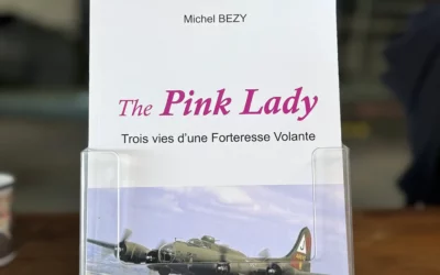 The pink lady | michel bezy